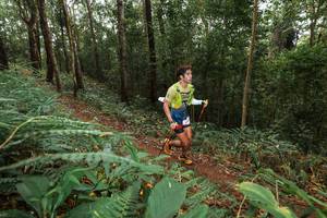 BIB: 
                            <button type="button" onclick="openModal(22534884)" class="btn btn-primary btn-sm float-right btn-popup" data-toggle="modal" data-target=".modal-high-quality">
                        <i class="fas fa-shopping-cart"></i> Add to Cart
                    </button>
                                            <button type="button" onclick="isThisMe(22534884, true)" class="btn btn-success btn-sm float-right btn-popup btn-isme hidden" data-toggle="tooltip" data-placement="bottom" title="นี่คือรูปของคุณใช่ไหม คลิกที่นี่เพื่อเอาเข้าอัลบั้ม">
                        <i class="fas fa-plus"></i> Add to album
                    </button>
                    <button type="button" onclick="isThisMe(22534884, false)" class="btn btn-warning btn-sm float-right btn-popup btn-isnotme hidden">
                        <i class="fas fa-ban"></i> Remove from album
                    </button>