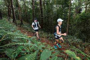 BIB: 
                            <button type="button" onclick="openModal(22532926)" class="btn btn-primary btn-sm float-right btn-popup" data-toggle="modal" data-target=".modal-high-quality">
                        <i class="fas fa-shopping-cart"></i> Add to Cart
                    </button>
                                            <button type="button" onclick="isThisMe(22532926, true)" class="btn btn-success btn-sm float-right btn-popup btn-isme hidden" data-toggle="tooltip" data-placement="bottom" title="นี่คือรูปของคุณใช่ไหม คลิกที่นี่เพื่อเอาเข้าอัลบั้ม">
                        <i class="fas fa-plus"></i> Add to album
                    </button>
                    <button type="button" onclick="isThisMe(22532926, false)" class="btn btn-warning btn-sm float-right btn-popup btn-isnotme hidden">
                        <i class="fas fa-ban"></i> Remove from album
                    </button>