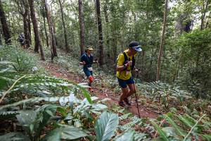 BIB: 
                            <button type="button" onclick="openModal(22565379)" class="btn btn-primary btn-sm float-right btn-popup" data-toggle="modal" data-target=".modal-high-quality">
                        <i class="fas fa-shopping-cart"></i> Add to Cart
                    </button>
                                            <button type="button" onclick="isThisMe(22565379, true)" class="btn btn-success btn-sm float-right btn-popup btn-isme hidden" data-toggle="tooltip" data-placement="bottom" title="นี่คือรูปของคุณใช่ไหม คลิกที่นี่เพื่อเอาเข้าอัลบั้ม">
                        <i class="fas fa-plus"></i> Add to album
                    </button>
                    <button type="button" onclick="isThisMe(22565379, false)" class="btn btn-warning btn-sm float-right btn-popup btn-isnotme hidden">
                        <i class="fas fa-ban"></i> Remove from album
                    </button>