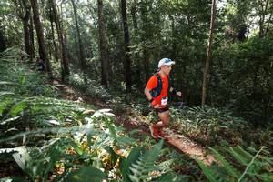 BIB: 
                            <button type="button" onclick="openModal(22544565)" class="btn btn-primary btn-sm float-right btn-popup" data-toggle="modal" data-target=".modal-high-quality">
                        <i class="fas fa-shopping-cart"></i> Add to Cart
                    </button>
                                            <button type="button" onclick="isThisMe(22544565, true)" class="btn btn-success btn-sm float-right btn-popup btn-isme hidden" data-toggle="tooltip" data-placement="bottom" title="นี่คือรูปของคุณใช่ไหม คลิกที่นี่เพื่อเอาเข้าอัลบั้ม">
                        <i class="fas fa-plus"></i> Add to album
                    </button>
                    <button type="button" onclick="isThisMe(22544565, false)" class="btn btn-warning btn-sm float-right btn-popup btn-isnotme hidden">
                        <i class="fas fa-ban"></i> Remove from album
                    </button>