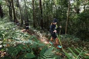 BIB: 
                            <button type="button" onclick="openModal(22546545)" class="btn btn-primary btn-sm float-right btn-popup" data-toggle="modal" data-target=".modal-high-quality">
                        <i class="fas fa-shopping-cart"></i> Add to Cart
                    </button>
                                            <button type="button" onclick="isThisMe(22546545, true)" class="btn btn-success btn-sm float-right btn-popup btn-isme hidden" data-toggle="tooltip" data-placement="bottom" title="นี่คือรูปของคุณใช่ไหม คลิกที่นี่เพื่อเอาเข้าอัลบั้ม">
                        <i class="fas fa-plus"></i> Add to album
                    </button>
                    <button type="button" onclick="isThisMe(22546545, false)" class="btn btn-warning btn-sm float-right btn-popup btn-isnotme hidden">
                        <i class="fas fa-ban"></i> Remove from album
                    </button>