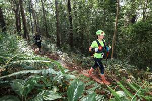 BIB: 
                            <button type="button" onclick="openModal(22563502)" class="btn btn-primary btn-sm float-right btn-popup" data-toggle="modal" data-target=".modal-high-quality">
                        <i class="fas fa-shopping-cart"></i> Add to Cart
                    </button>
                                            <button type="button" onclick="isThisMe(22563502, true)" class="btn btn-success btn-sm float-right btn-popup btn-isme hidden" data-toggle="tooltip" data-placement="bottom" title="นี่คือรูปของคุณใช่ไหม คลิกที่นี่เพื่อเอาเข้าอัลบั้ม">
                        <i class="fas fa-plus"></i> Add to album
                    </button>
                    <button type="button" onclick="isThisMe(22563502, false)" class="btn btn-warning btn-sm float-right btn-popup btn-isnotme hidden">
                        <i class="fas fa-ban"></i> Remove from album
                    </button>