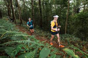 BIB: 
                            <button type="button" onclick="openModal(22534176)" class="btn btn-primary btn-sm float-right btn-popup" data-toggle="modal" data-target=".modal-high-quality">
                        <i class="fas fa-shopping-cart"></i> Add to Cart
                    </button>
                                            <button type="button" onclick="isThisMe(22534176, true)" class="btn btn-success btn-sm float-right btn-popup btn-isme hidden" data-toggle="tooltip" data-placement="bottom" title="นี่คือรูปของคุณใช่ไหม คลิกที่นี่เพื่อเอาเข้าอัลบั้ม">
                        <i class="fas fa-plus"></i> Add to album
                    </button>
                    <button type="button" onclick="isThisMe(22534176, false)" class="btn btn-warning btn-sm float-right btn-popup btn-isnotme hidden">
                        <i class="fas fa-ban"></i> Remove from album
                    </button>