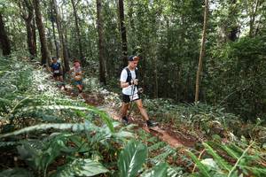 BIB: 
                            <button type="button" onclick="openModal(22561859)" class="btn btn-primary btn-sm float-right btn-popup" data-toggle="modal" data-target=".modal-high-quality">
                        <i class="fas fa-shopping-cart"></i> Add to Cart
                    </button>
                                            <button type="button" onclick="isThisMe(22561859, true)" class="btn btn-success btn-sm float-right btn-popup btn-isme hidden" data-toggle="tooltip" data-placement="bottom" title="นี่คือรูปของคุณใช่ไหม คลิกที่นี่เพื่อเอาเข้าอัลบั้ม">
                        <i class="fas fa-plus"></i> Add to album
                    </button>
                    <button type="button" onclick="isThisMe(22561859, false)" class="btn btn-warning btn-sm float-right btn-popup btn-isnotme hidden">
                        <i class="fas fa-ban"></i> Remove from album
                    </button>