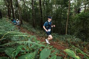 BIB: 
                            <button type="button" onclick="openModal(22538708)" class="btn btn-primary btn-sm float-right btn-popup" data-toggle="modal" data-target=".modal-high-quality">
                        <i class="fas fa-shopping-cart"></i> Add to Cart
                    </button>
                                            <button type="button" onclick="isThisMe(22538708, true)" class="btn btn-success btn-sm float-right btn-popup btn-isme hidden" data-toggle="tooltip" data-placement="bottom" title="นี่คือรูปของคุณใช่ไหม คลิกที่นี่เพื่อเอาเข้าอัลบั้ม">
                        <i class="fas fa-plus"></i> Add to album
                    </button>
                    <button type="button" onclick="isThisMe(22538708, false)" class="btn btn-warning btn-sm float-right btn-popup btn-isnotme hidden">
                        <i class="fas fa-ban"></i> Remove from album
                    </button>