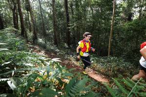 BIB: 
                            <button type="button" onclick="openModal(22544867)" class="btn btn-primary btn-sm float-right btn-popup" data-toggle="modal" data-target=".modal-high-quality">
                        <i class="fas fa-shopping-cart"></i> Add to Cart
                    </button>
                                            <button type="button" onclick="isThisMe(22544867, true)" class="btn btn-success btn-sm float-right btn-popup btn-isme hidden" data-toggle="tooltip" data-placement="bottom" title="นี่คือรูปของคุณใช่ไหม คลิกที่นี่เพื่อเอาเข้าอัลบั้ม">
                        <i class="fas fa-plus"></i> Add to album
                    </button>
                    <button type="button" onclick="isThisMe(22544867, false)" class="btn btn-warning btn-sm float-right btn-popup btn-isnotme hidden">
                        <i class="fas fa-ban"></i> Remove from album
                    </button>