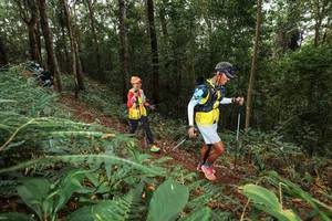 BIB: 
                            <button type="button" onclick="openModal(22538666)" class="btn btn-primary btn-sm float-right btn-popup" data-toggle="modal" data-target=".modal-high-quality">
                        <i class="fas fa-shopping-cart"></i> Add to Cart
                    </button>
                                            <button type="button" onclick="isThisMe(22538666, true)" class="btn btn-success btn-sm float-right btn-popup btn-isme hidden" data-toggle="tooltip" data-placement="bottom" title="นี่คือรูปของคุณใช่ไหม คลิกที่นี่เพื่อเอาเข้าอัลบั้ม">
                        <i class="fas fa-plus"></i> Add to album
                    </button>
                    <button type="button" onclick="isThisMe(22538666, false)" class="btn btn-warning btn-sm float-right btn-popup btn-isnotme hidden">
                        <i class="fas fa-ban"></i> Remove from album
                    </button>