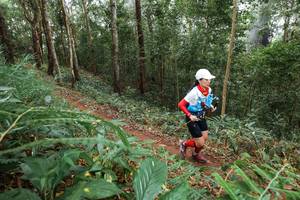 BIB: 
                            <button type="button" onclick="openModal(22580858)" class="btn btn-primary btn-sm float-right btn-popup" data-toggle="modal" data-target=".modal-high-quality">
                        <i class="fas fa-shopping-cart"></i> Add to Cart
                    </button>
                                            <button type="button" onclick="isThisMe(22580858, true)" class="btn btn-success btn-sm float-right btn-popup btn-isme hidden" data-toggle="tooltip" data-placement="bottom" title="นี่คือรูปของคุณใช่ไหม คลิกที่นี่เพื่อเอาเข้าอัลบั้ม">
                        <i class="fas fa-plus"></i> Add to album
                    </button>
                    <button type="button" onclick="isThisMe(22580858, false)" class="btn btn-warning btn-sm float-right btn-popup btn-isnotme hidden">
                        <i class="fas fa-ban"></i> Remove from album
                    </button>