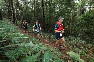 BIB: 
                            <button type="button" onclick="openModal(22543023)" class="btn btn-primary btn-sm float-right btn-popup" data-toggle="modal" data-target=".modal-high-quality">
                        <i class="fas fa-shopping-cart"></i> Add to Cart
                    </button>
                                            <button type="button" onclick="isThisMe(22543023, true)" class="btn btn-success btn-sm float-right btn-popup btn-isme hidden" data-toggle="tooltip" data-placement="bottom" title="นี่คือรูปของคุณใช่ไหม คลิกที่นี่เพื่อเอาเข้าอัลบั้ม">
                        <i class="fas fa-plus"></i> Add to album
                    </button>
                    <button type="button" onclick="isThisMe(22543023, false)" class="btn btn-warning btn-sm float-right btn-popup btn-isnotme hidden">
                        <i class="fas fa-ban"></i> Remove from album
                    </button>