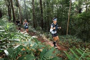 BIB: 
                            <button type="button" onclick="openModal(22545421)" class="btn btn-primary btn-sm float-right btn-popup" data-toggle="modal" data-target=".modal-high-quality">
                        <i class="fas fa-shopping-cart"></i> Add to Cart
                    </button>
                                            <button type="button" onclick="isThisMe(22545421, true)" class="btn btn-success btn-sm float-right btn-popup btn-isme hidden" data-toggle="tooltip" data-placement="bottom" title="นี่คือรูปของคุณใช่ไหม คลิกที่นี่เพื่อเอาเข้าอัลบั้ม">
                        <i class="fas fa-plus"></i> Add to album
                    </button>
                    <button type="button" onclick="isThisMe(22545421, false)" class="btn btn-warning btn-sm float-right btn-popup btn-isnotme hidden">
                        <i class="fas fa-ban"></i> Remove from album
                    </button>