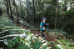 BIB: 
                            <button type="button" onclick="openModal(22543790)" class="btn btn-primary btn-sm float-right btn-popup" data-toggle="modal" data-target=".modal-high-quality">
                        <i class="fas fa-shopping-cart"></i> Add to Cart
                    </button>
                                            <button type="button" onclick="isThisMe(22543790, true)" class="btn btn-success btn-sm float-right btn-popup btn-isme hidden" data-toggle="tooltip" data-placement="bottom" title="นี่คือรูปของคุณใช่ไหม คลิกที่นี่เพื่อเอาเข้าอัลบั้ม">
                        <i class="fas fa-plus"></i> Add to album
                    </button>
                    <button type="button" onclick="isThisMe(22543790, false)" class="btn btn-warning btn-sm float-right btn-popup btn-isnotme hidden">
                        <i class="fas fa-ban"></i> Remove from album
                    </button>