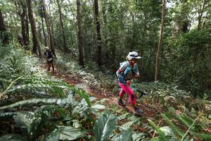 BIB: 
                            <button type="button" onclick="openModal(22563796)" class="btn btn-primary btn-sm float-right btn-popup" data-toggle="modal" data-target=".modal-high-quality">
                        <i class="fas fa-shopping-cart"></i> Add to Cart
                    </button>
                                            <button type="button" onclick="isThisMe(22563796, true)" class="btn btn-success btn-sm float-right btn-popup btn-isme hidden" data-toggle="tooltip" data-placement="bottom" title="นี่คือรูปของคุณใช่ไหม คลิกที่นี่เพื่อเอาเข้าอัลบั้ม">
                        <i class="fas fa-plus"></i> Add to album
                    </button>
                    <button type="button" onclick="isThisMe(22563796, false)" class="btn btn-warning btn-sm float-right btn-popup btn-isnotme hidden">
                        <i class="fas fa-ban"></i> Remove from album
                    </button>