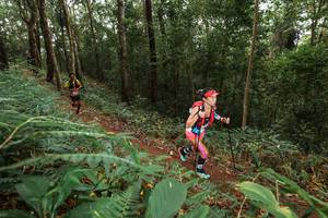 BIB: 
                            <button type="button" onclick="openModal(22534965)" class="btn btn-primary btn-sm float-right btn-popup" data-toggle="modal" data-target=".modal-high-quality">
                        <i class="fas fa-shopping-cart"></i> Add to Cart
                    </button>
                                            <button type="button" onclick="isThisMe(22534965, true)" class="btn btn-success btn-sm float-right btn-popup btn-isme hidden" data-toggle="tooltip" data-placement="bottom" title="นี่คือรูปของคุณใช่ไหม คลิกที่นี่เพื่อเอาเข้าอัลบั้ม">
                        <i class="fas fa-plus"></i> Add to album
                    </button>
                    <button type="button" onclick="isThisMe(22534965, false)" class="btn btn-warning btn-sm float-right btn-popup btn-isnotme hidden">
                        <i class="fas fa-ban"></i> Remove from album
                    </button>