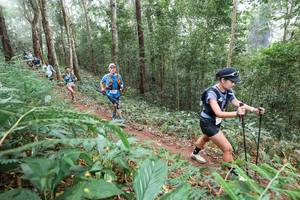 BIB: 
                            <button type="button" onclick="openModal(22573975)" class="btn btn-primary btn-sm float-right btn-popup" data-toggle="modal" data-target=".modal-high-quality">
                        <i class="fas fa-shopping-cart"></i> Add to Cart
                    </button>
                                            <button type="button" onclick="isThisMe(22573975, true)" class="btn btn-success btn-sm float-right btn-popup btn-isme hidden" data-toggle="tooltip" data-placement="bottom" title="นี่คือรูปของคุณใช่ไหม คลิกที่นี่เพื่อเอาเข้าอัลบั้ม">
                        <i class="fas fa-plus"></i> Add to album
                    </button>
                    <button type="button" onclick="isThisMe(22573975, false)" class="btn btn-warning btn-sm float-right btn-popup btn-isnotme hidden">
                        <i class="fas fa-ban"></i> Remove from album
                    </button>