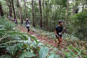 BIB: 
                            <button type="button" onclick="openModal(22566735)" class="btn btn-primary btn-sm float-right btn-popup" data-toggle="modal" data-target=".modal-high-quality">
                        <i class="fas fa-shopping-cart"></i> Add to Cart
                    </button>
                                            <button type="button" onclick="isThisMe(22566735, true)" class="btn btn-success btn-sm float-right btn-popup btn-isme hidden" data-toggle="tooltip" data-placement="bottom" title="นี่คือรูปของคุณใช่ไหม คลิกที่นี่เพื่อเอาเข้าอัลบั้ม">
                        <i class="fas fa-plus"></i> Add to album
                    </button>
                    <button type="button" onclick="isThisMe(22566735, false)" class="btn btn-warning btn-sm float-right btn-popup btn-isnotme hidden">
                        <i class="fas fa-ban"></i> Remove from album
                    </button>