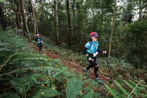 BIB: 
                            <button type="button" onclick="openModal(22567753)" class="btn btn-primary btn-sm float-right btn-popup" data-toggle="modal" data-target=".modal-high-quality">
                        <i class="fas fa-shopping-cart"></i> Add to Cart
                    </button>
                                            <button type="button" onclick="isThisMe(22567753, true)" class="btn btn-success btn-sm float-right btn-popup btn-isme hidden" data-toggle="tooltip" data-placement="bottom" title="นี่คือรูปของคุณใช่ไหม คลิกที่นี่เพื่อเอาเข้าอัลบั้ม">
                        <i class="fas fa-plus"></i> Add to album
                    </button>
                    <button type="button" onclick="isThisMe(22567753, false)" class="btn btn-warning btn-sm float-right btn-popup btn-isnotme hidden">
                        <i class="fas fa-ban"></i> Remove from album
                    </button>