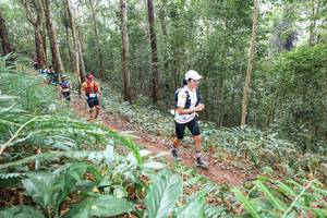 BIB: 
                            <button type="button" onclick="openModal(22581631)" class="btn btn-primary btn-sm float-right btn-popup" data-toggle="modal" data-target=".modal-high-quality">
                        <i class="fas fa-shopping-cart"></i> Add to Cart
                    </button>
                                            <button type="button" onclick="isThisMe(22581631, true)" class="btn btn-success btn-sm float-right btn-popup btn-isme hidden" data-toggle="tooltip" data-placement="bottom" title="นี่คือรูปของคุณใช่ไหม คลิกที่นี่เพื่อเอาเข้าอัลบั้ม">
                        <i class="fas fa-plus"></i> Add to album
                    </button>
                    <button type="button" onclick="isThisMe(22581631, false)" class="btn btn-warning btn-sm float-right btn-popup btn-isnotme hidden">
                        <i class="fas fa-ban"></i> Remove from album
                    </button>