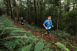 BIB: 
                            <button type="button" onclick="openModal(22533409)" class="btn btn-primary btn-sm float-right btn-popup" data-toggle="modal" data-target=".modal-high-quality">
                        <i class="fas fa-shopping-cart"></i> Add to Cart
                    </button>
                                            <button type="button" onclick="isThisMe(22533409, true)" class="btn btn-success btn-sm float-right btn-popup btn-isme hidden" data-toggle="tooltip" data-placement="bottom" title="นี่คือรูปของคุณใช่ไหม คลิกที่นี่เพื่อเอาเข้าอัลบั้ม">
                        <i class="fas fa-plus"></i> Add to album
                    </button>
                    <button type="button" onclick="isThisMe(22533409, false)" class="btn btn-warning btn-sm float-right btn-popup btn-isnotme hidden">
                        <i class="fas fa-ban"></i> Remove from album
                    </button>