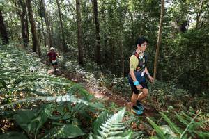 BIB: 
                            <button type="button" onclick="openModal(22546959)" class="btn btn-primary btn-sm float-right btn-popup" data-toggle="modal" data-target=".modal-high-quality">
                        <i class="fas fa-shopping-cart"></i> Add to Cart
                    </button>
                                            <button type="button" onclick="isThisMe(22546959, true)" class="btn btn-success btn-sm float-right btn-popup btn-isme hidden" data-toggle="tooltip" data-placement="bottom" title="นี่คือรูปของคุณใช่ไหม คลิกที่นี่เพื่อเอาเข้าอัลบั้ม">
                        <i class="fas fa-plus"></i> Add to album
                    </button>
                    <button type="button" onclick="isThisMe(22546959, false)" class="btn btn-warning btn-sm float-right btn-popup btn-isnotme hidden">
                        <i class="fas fa-ban"></i> Remove from album
                    </button>