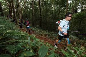 BIB: 
                            <button type="button" onclick="openModal(22582261)" class="btn btn-primary btn-sm float-right btn-popup" data-toggle="modal" data-target=".modal-high-quality">
                        <i class="fas fa-shopping-cart"></i> Add to Cart
                    </button>
                                            <button type="button" onclick="isThisMe(22582261, true)" class="btn btn-success btn-sm float-right btn-popup btn-isme hidden" data-toggle="tooltip" data-placement="bottom" title="นี่คือรูปของคุณใช่ไหม คลิกที่นี่เพื่อเอาเข้าอัลบั้ม">
                        <i class="fas fa-plus"></i> Add to album
                    </button>
                    <button type="button" onclick="isThisMe(22582261, false)" class="btn btn-warning btn-sm float-right btn-popup btn-isnotme hidden">
                        <i class="fas fa-ban"></i> Remove from album
                    </button>