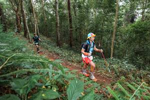 BIB: 
                            <button type="button" onclick="openModal(22580984)" class="btn btn-primary btn-sm float-right btn-popup" data-toggle="modal" data-target=".modal-high-quality">
                        <i class="fas fa-shopping-cart"></i> Add to Cart
                    </button>
                                            <button type="button" onclick="isThisMe(22580984, true)" class="btn btn-success btn-sm float-right btn-popup btn-isme hidden" data-toggle="tooltip" data-placement="bottom" title="นี่คือรูปของคุณใช่ไหม คลิกที่นี่เพื่อเอาเข้าอัลบั้ม">
                        <i class="fas fa-plus"></i> Add to album
                    </button>
                    <button type="button" onclick="isThisMe(22580984, false)" class="btn btn-warning btn-sm float-right btn-popup btn-isnotme hidden">
                        <i class="fas fa-ban"></i> Remove from album
                    </button>