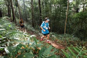 BIB: 
                            <button type="button" onclick="openModal(22545254)" class="btn btn-primary btn-sm float-right btn-popup" data-toggle="modal" data-target=".modal-high-quality">
                        <i class="fas fa-shopping-cart"></i> Add to Cart
                    </button>
                                            <button type="button" onclick="isThisMe(22545254, true)" class="btn btn-success btn-sm float-right btn-popup btn-isme hidden" data-toggle="tooltip" data-placement="bottom" title="นี่คือรูปของคุณใช่ไหม คลิกที่นี่เพื่อเอาเข้าอัลบั้ม">
                        <i class="fas fa-plus"></i> Add to album
                    </button>
                    <button type="button" onclick="isThisMe(22545254, false)" class="btn btn-warning btn-sm float-right btn-popup btn-isnotme hidden">
                        <i class="fas fa-ban"></i> Remove from album
                    </button>