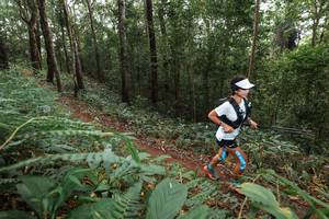 BIB: 
                            <button type="button" onclick="openModal(22541571)" class="btn btn-primary btn-sm float-right btn-popup" data-toggle="modal" data-target=".modal-high-quality">
                        <i class="fas fa-shopping-cart"></i> Add to Cart
                    </button>
                                            <button type="button" onclick="isThisMe(22541571, true)" class="btn btn-success btn-sm float-right btn-popup btn-isme hidden" data-toggle="tooltip" data-placement="bottom" title="นี่คือรูปของคุณใช่ไหม คลิกที่นี่เพื่อเอาเข้าอัลบั้ม">
                        <i class="fas fa-plus"></i> Add to album
                    </button>
                    <button type="button" onclick="isThisMe(22541571, false)" class="btn btn-warning btn-sm float-right btn-popup btn-isnotme hidden">
                        <i class="fas fa-ban"></i> Remove from album
                    </button>