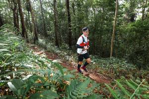 BIB: 
                            <button type="button" onclick="openModal(22545578)" class="btn btn-primary btn-sm float-right btn-popup" data-toggle="modal" data-target=".modal-high-quality">
                        <i class="fas fa-shopping-cart"></i> Add to Cart
                    </button>
                                            <button type="button" onclick="isThisMe(22545578, true)" class="btn btn-success btn-sm float-right btn-popup btn-isme hidden" data-toggle="tooltip" data-placement="bottom" title="นี่คือรูปของคุณใช่ไหม คลิกที่นี่เพื่อเอาเข้าอัลบั้ม">
                        <i class="fas fa-plus"></i> Add to album
                    </button>
                    <button type="button" onclick="isThisMe(22545578, false)" class="btn btn-warning btn-sm float-right btn-popup btn-isnotme hidden">
                        <i class="fas fa-ban"></i> Remove from album
                    </button>