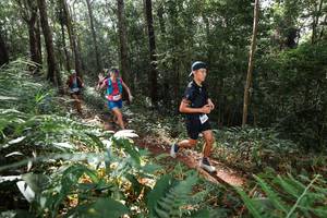 BIB: 
                            <button type="button" onclick="openModal(22544753)" class="btn btn-primary btn-sm float-right btn-popup" data-toggle="modal" data-target=".modal-high-quality">
                        <i class="fas fa-shopping-cart"></i> Add to Cart
                    </button>
                                            <button type="button" onclick="isThisMe(22544753, true)" class="btn btn-success btn-sm float-right btn-popup btn-isme hidden" data-toggle="tooltip" data-placement="bottom" title="นี่คือรูปของคุณใช่ไหม คลิกที่นี่เพื่อเอาเข้าอัลบั้ม">
                        <i class="fas fa-plus"></i> Add to album
                    </button>
                    <button type="button" onclick="isThisMe(22544753, false)" class="btn btn-warning btn-sm float-right btn-popup btn-isnotme hidden">
                        <i class="fas fa-ban"></i> Remove from album
                    </button>