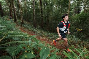 BIB: 
                            <button type="button" onclick="openModal(22583097)" class="btn btn-primary btn-sm float-right btn-popup" data-toggle="modal" data-target=".modal-high-quality">
                        <i class="fas fa-shopping-cart"></i> Add to Cart
                    </button>
                                            <button type="button" onclick="isThisMe(22583097, true)" class="btn btn-success btn-sm float-right btn-popup btn-isme hidden" data-toggle="tooltip" data-placement="bottom" title="นี่คือรูปของคุณใช่ไหม คลิกที่นี่เพื่อเอาเข้าอัลบั้ม">
                        <i class="fas fa-plus"></i> Add to album
                    </button>
                    <button type="button" onclick="isThisMe(22583097, false)" class="btn btn-warning btn-sm float-right btn-popup btn-isnotme hidden">
                        <i class="fas fa-ban"></i> Remove from album
                    </button>