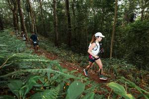 BIB: 
                            <button type="button" onclick="openModal(22534033)" class="btn btn-primary btn-sm float-right btn-popup" data-toggle="modal" data-target=".modal-high-quality">
                        <i class="fas fa-shopping-cart"></i> Add to Cart
                    </button>
                                            <button type="button" onclick="isThisMe(22534033, true)" class="btn btn-success btn-sm float-right btn-popup btn-isme hidden" data-toggle="tooltip" data-placement="bottom" title="นี่คือรูปของคุณใช่ไหม คลิกที่นี่เพื่อเอาเข้าอัลบั้ม">
                        <i class="fas fa-plus"></i> Add to album
                    </button>
                    <button type="button" onclick="isThisMe(22534033, false)" class="btn btn-warning btn-sm float-right btn-popup btn-isnotme hidden">
                        <i class="fas fa-ban"></i> Remove from album
                    </button>