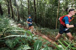 BIB: 
                            <button type="button" onclick="openModal(22547548)" class="btn btn-primary btn-sm float-right btn-popup" data-toggle="modal" data-target=".modal-high-quality">
                        <i class="fas fa-shopping-cart"></i> Add to Cart
                    </button>
                                            <button type="button" onclick="isThisMe(22547548, true)" class="btn btn-success btn-sm float-right btn-popup btn-isme hidden" data-toggle="tooltip" data-placement="bottom" title="นี่คือรูปของคุณใช่ไหม คลิกที่นี่เพื่อเอาเข้าอัลบั้ม">
                        <i class="fas fa-plus"></i> Add to album
                    </button>
                    <button type="button" onclick="isThisMe(22547548, false)" class="btn btn-warning btn-sm float-right btn-popup btn-isnotme hidden">
                        <i class="fas fa-ban"></i> Remove from album
                    </button>