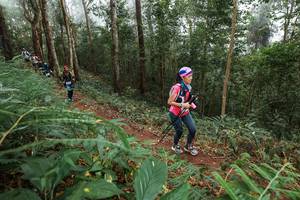 BIB: 
                            <button type="button" onclick="openModal(22572016)" class="btn btn-primary btn-sm float-right btn-popup" data-toggle="modal" data-target=".modal-high-quality">
                        <i class="fas fa-shopping-cart"></i> Add to Cart
                    </button>
                                            <button type="button" onclick="isThisMe(22572016, true)" class="btn btn-success btn-sm float-right btn-popup btn-isme hidden" data-toggle="tooltip" data-placement="bottom" title="นี่คือรูปของคุณใช่ไหม คลิกที่นี่เพื่อเอาเข้าอัลบั้ม">
                        <i class="fas fa-plus"></i> Add to album
                    </button>
                    <button type="button" onclick="isThisMe(22572016, false)" class="btn btn-warning btn-sm float-right btn-popup btn-isnotme hidden">
                        <i class="fas fa-ban"></i> Remove from album
                    </button>