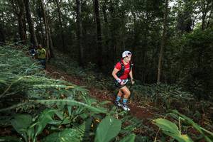 BIB: 
                            <button type="button" onclick="openModal(22537576)" class="btn btn-primary btn-sm float-right btn-popup" data-toggle="modal" data-target=".modal-high-quality">
                        <i class="fas fa-shopping-cart"></i> Add to Cart
                    </button>
                                            <button type="button" onclick="isThisMe(22537576, true)" class="btn btn-success btn-sm float-right btn-popup btn-isme hidden" data-toggle="tooltip" data-placement="bottom" title="นี่คือรูปของคุณใช่ไหม คลิกที่นี่เพื่อเอาเข้าอัลบั้ม">
                        <i class="fas fa-plus"></i> Add to album
                    </button>
                    <button type="button" onclick="isThisMe(22537576, false)" class="btn btn-warning btn-sm float-right btn-popup btn-isnotme hidden">
                        <i class="fas fa-ban"></i> Remove from album
                    </button>