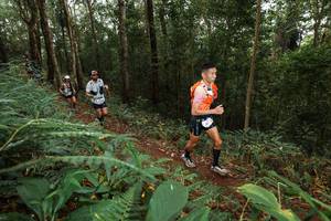 BIB: 
                            <button type="button" onclick="openModal(22533998)" class="btn btn-primary btn-sm float-right btn-popup" data-toggle="modal" data-target=".modal-high-quality">
                        <i class="fas fa-shopping-cart"></i> Add to Cart
                    </button>
                                            <button type="button" onclick="isThisMe(22533998, true)" class="btn btn-success btn-sm float-right btn-popup btn-isme hidden" data-toggle="tooltip" data-placement="bottom" title="นี่คือรูปของคุณใช่ไหม คลิกที่นี่เพื่อเอาเข้าอัลบั้ม">
                        <i class="fas fa-plus"></i> Add to album
                    </button>
                    <button type="button" onclick="isThisMe(22533998, false)" class="btn btn-warning btn-sm float-right btn-popup btn-isnotme hidden">
                        <i class="fas fa-ban"></i> Remove from album
                    </button>