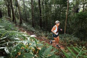 BIB: 
                            <button type="button" onclick="openModal(22544613)" class="btn btn-primary btn-sm float-right btn-popup" data-toggle="modal" data-target=".modal-high-quality">
                        <i class="fas fa-shopping-cart"></i> Add to Cart
                    </button>
                                            <button type="button" onclick="isThisMe(22544613, true)" class="btn btn-success btn-sm float-right btn-popup btn-isme hidden" data-toggle="tooltip" data-placement="bottom" title="นี่คือรูปของคุณใช่ไหม คลิกที่นี่เพื่อเอาเข้าอัลบั้ม">
                        <i class="fas fa-plus"></i> Add to album
                    </button>
                    <button type="button" onclick="isThisMe(22544613, false)" class="btn btn-warning btn-sm float-right btn-popup btn-isnotme hidden">
                        <i class="fas fa-ban"></i> Remove from album
                    </button>