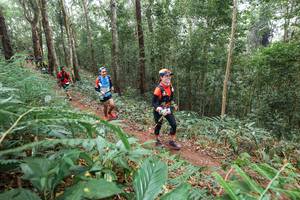 BIB: 
                            <button type="button" onclick="openModal(22574699)" class="btn btn-primary btn-sm float-right btn-popup" data-toggle="modal" data-target=".modal-high-quality">
                        <i class="fas fa-shopping-cart"></i> Add to Cart
                    </button>
                                            <button type="button" onclick="isThisMe(22574699, true)" class="btn btn-success btn-sm float-right btn-popup btn-isme hidden" data-toggle="tooltip" data-placement="bottom" title="นี่คือรูปของคุณใช่ไหม คลิกที่นี่เพื่อเอาเข้าอัลบั้ม">
                        <i class="fas fa-plus"></i> Add to album
                    </button>
                    <button type="button" onclick="isThisMe(22574699, false)" class="btn btn-warning btn-sm float-right btn-popup btn-isnotme hidden">
                        <i class="fas fa-ban"></i> Remove from album
                    </button>