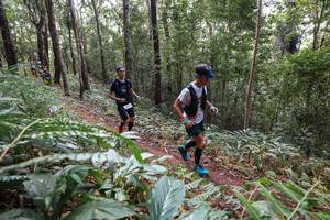 BIB: 
                            <button type="button" onclick="openModal(22564479)" class="btn btn-primary btn-sm float-right btn-popup" data-toggle="modal" data-target=".modal-high-quality">
                        <i class="fas fa-shopping-cart"></i> Add to Cart
                    </button>
                                            <button type="button" onclick="isThisMe(22564479, true)" class="btn btn-success btn-sm float-right btn-popup btn-isme hidden" data-toggle="tooltip" data-placement="bottom" title="นี่คือรูปของคุณใช่ไหม คลิกที่นี่เพื่อเอาเข้าอัลบั้ม">
                        <i class="fas fa-plus"></i> Add to album
                    </button>
                    <button type="button" onclick="isThisMe(22564479, false)" class="btn btn-warning btn-sm float-right btn-popup btn-isnotme hidden">
                        <i class="fas fa-ban"></i> Remove from album
                    </button>