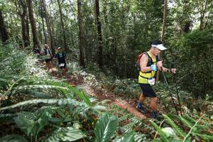 BIB: 
                            <button type="button" onclick="openModal(22563315)" class="btn btn-primary btn-sm float-right btn-popup" data-toggle="modal" data-target=".modal-high-quality">
                        <i class="fas fa-shopping-cart"></i> Add to Cart
                    </button>
                                            <button type="button" onclick="isThisMe(22563315, true)" class="btn btn-success btn-sm float-right btn-popup btn-isme hidden" data-toggle="tooltip" data-placement="bottom" title="นี่คือรูปของคุณใช่ไหม คลิกที่นี่เพื่อเอาเข้าอัลบั้ม">
                        <i class="fas fa-plus"></i> Add to album
                    </button>
                    <button type="button" onclick="isThisMe(22563315, false)" class="btn btn-warning btn-sm float-right btn-popup btn-isnotme hidden">
                        <i class="fas fa-ban"></i> Remove from album
                    </button>