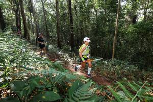 BIB: 
                            <button type="button" onclick="openModal(22546500)" class="btn btn-primary btn-sm float-right btn-popup" data-toggle="modal" data-target=".modal-high-quality">
                        <i class="fas fa-shopping-cart"></i> Add to Cart
                    </button>
                                            <button type="button" onclick="isThisMe(22546500, true)" class="btn btn-success btn-sm float-right btn-popup btn-isme hidden" data-toggle="tooltip" data-placement="bottom" title="นี่คือรูปของคุณใช่ไหม คลิกที่นี่เพื่อเอาเข้าอัลบั้ม">
                        <i class="fas fa-plus"></i> Add to album
                    </button>
                    <button type="button" onclick="isThisMe(22546500, false)" class="btn btn-warning btn-sm float-right btn-popup btn-isnotme hidden">
                        <i class="fas fa-ban"></i> Remove from album
                    </button>