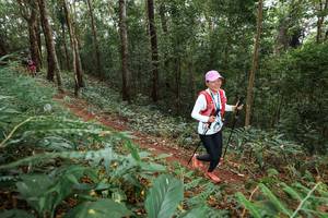 BIB: 
                            <button type="button" onclick="openModal(22584635)" class="btn btn-primary btn-sm float-right btn-popup" data-toggle="modal" data-target=".modal-high-quality">
                        <i class="fas fa-shopping-cart"></i> Add to Cart
                    </button>
                                            <button type="button" onclick="isThisMe(22584635, true)" class="btn btn-success btn-sm float-right btn-popup btn-isme hidden" data-toggle="tooltip" data-placement="bottom" title="นี่คือรูปของคุณใช่ไหม คลิกที่นี่เพื่อเอาเข้าอัลบั้ม">
                        <i class="fas fa-plus"></i> Add to album
                    </button>
                    <button type="button" onclick="isThisMe(22584635, false)" class="btn btn-warning btn-sm float-right btn-popup btn-isnotme hidden">
                        <i class="fas fa-ban"></i> Remove from album
                    </button>