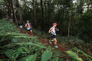 BIB: 
                            <button type="button" onclick="openModal(22538301)" class="btn btn-primary btn-sm float-right btn-popup" data-toggle="modal" data-target=".modal-high-quality">
                        <i class="fas fa-shopping-cart"></i> Add to Cart
                    </button>
                                            <button type="button" onclick="isThisMe(22538301, true)" class="btn btn-success btn-sm float-right btn-popup btn-isme hidden" data-toggle="tooltip" data-placement="bottom" title="นี่คือรูปของคุณใช่ไหม คลิกที่นี่เพื่อเอาเข้าอัลบั้ม">
                        <i class="fas fa-plus"></i> Add to album
                    </button>
                    <button type="button" onclick="isThisMe(22538301, false)" class="btn btn-warning btn-sm float-right btn-popup btn-isnotme hidden">
                        <i class="fas fa-ban"></i> Remove from album
                    </button>