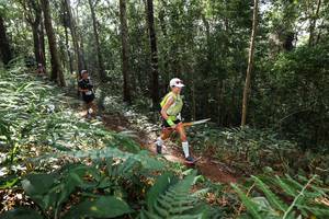 BIB: 
                            <button type="button" onclick="openModal(22546493)" class="btn btn-primary btn-sm float-right btn-popup" data-toggle="modal" data-target=".modal-high-quality">
                        <i class="fas fa-shopping-cart"></i> Add to Cart
                    </button>
                                            <button type="button" onclick="isThisMe(22546493, true)" class="btn btn-success btn-sm float-right btn-popup btn-isme hidden" data-toggle="tooltip" data-placement="bottom" title="นี่คือรูปของคุณใช่ไหม คลิกที่นี่เพื่อเอาเข้าอัลบั้ม">
                        <i class="fas fa-plus"></i> Add to album
                    </button>
                    <button type="button" onclick="isThisMe(22546493, false)" class="btn btn-warning btn-sm float-right btn-popup btn-isnotme hidden">
                        <i class="fas fa-ban"></i> Remove from album
                    </button>