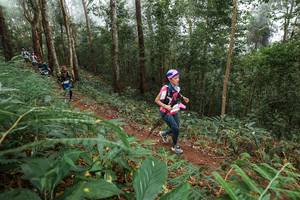 BIB: 
                            <button type="button" onclick="openModal(22572014)" class="btn btn-primary btn-sm float-right btn-popup" data-toggle="modal" data-target=".modal-high-quality">
                        <i class="fas fa-shopping-cart"></i> Add to Cart
                    </button>
                                            <button type="button" onclick="isThisMe(22572014, true)" class="btn btn-success btn-sm float-right btn-popup btn-isme hidden" data-toggle="tooltip" data-placement="bottom" title="นี่คือรูปของคุณใช่ไหม คลิกที่นี่เพื่อเอาเข้าอัลบั้ม">
                        <i class="fas fa-plus"></i> Add to album
                    </button>
                    <button type="button" onclick="isThisMe(22572014, false)" class="btn btn-warning btn-sm float-right btn-popup btn-isnotme hidden">
                        <i class="fas fa-ban"></i> Remove from album
                    </button>