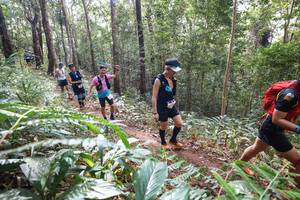 BIB: 
                            <button type="button" onclick="openModal(22565779)" class="btn btn-primary btn-sm float-right btn-popup" data-toggle="modal" data-target=".modal-high-quality">
                        <i class="fas fa-shopping-cart"></i> Add to Cart
                    </button>
                                            <button type="button" onclick="isThisMe(22565779, true)" class="btn btn-success btn-sm float-right btn-popup btn-isme hidden" data-toggle="tooltip" data-placement="bottom" title="นี่คือรูปของคุณใช่ไหม คลิกที่นี่เพื่อเอาเข้าอัลบั้ม">
                        <i class="fas fa-plus"></i> Add to album
                    </button>
                    <button type="button" onclick="isThisMe(22565779, false)" class="btn btn-warning btn-sm float-right btn-popup btn-isnotme hidden">
                        <i class="fas fa-ban"></i> Remove from album
                    </button>