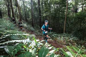 BIB: 
                            <button type="button" onclick="openModal(22543785)" class="btn btn-primary btn-sm float-right btn-popup" data-toggle="modal" data-target=".modal-high-quality">
                        <i class="fas fa-shopping-cart"></i> Add to Cart
                    </button>
                                            <button type="button" onclick="isThisMe(22543785, true)" class="btn btn-success btn-sm float-right btn-popup btn-isme hidden" data-toggle="tooltip" data-placement="bottom" title="นี่คือรูปของคุณใช่ไหม คลิกที่นี่เพื่อเอาเข้าอัลบั้ม">
                        <i class="fas fa-plus"></i> Add to album
                    </button>
                    <button type="button" onclick="isThisMe(22543785, false)" class="btn btn-warning btn-sm float-right btn-popup btn-isnotme hidden">
                        <i class="fas fa-ban"></i> Remove from album
                    </button>