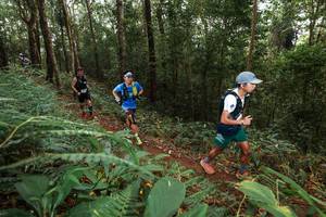 BIB: 
                            <button type="button" onclick="openModal(22534689)" class="btn btn-primary btn-sm float-right btn-popup" data-toggle="modal" data-target=".modal-high-quality">
                        <i class="fas fa-shopping-cart"></i> Add to Cart
                    </button>
                                            <button type="button" onclick="isThisMe(22534689, true)" class="btn btn-success btn-sm float-right btn-popup btn-isme hidden" data-toggle="tooltip" data-placement="bottom" title="นี่คือรูปของคุณใช่ไหม คลิกที่นี่เพื่อเอาเข้าอัลบั้ม">
                        <i class="fas fa-plus"></i> Add to album
                    </button>
                    <button type="button" onclick="isThisMe(22534689, false)" class="btn btn-warning btn-sm float-right btn-popup btn-isnotme hidden">
                        <i class="fas fa-ban"></i> Remove from album
                    </button>