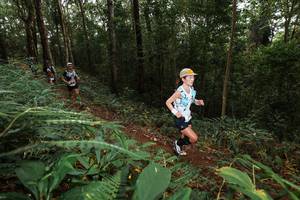 BIB: 
                            <button type="button" onclick="openModal(22533077)" class="btn btn-primary btn-sm float-right btn-popup" data-toggle="modal" data-target=".modal-high-quality">
                        <i class="fas fa-shopping-cart"></i> Add to Cart
                    </button>
                                            <button type="button" onclick="isThisMe(22533077, true)" class="btn btn-success btn-sm float-right btn-popup btn-isme hidden" data-toggle="tooltip" data-placement="bottom" title="นี่คือรูปของคุณใช่ไหม คลิกที่นี่เพื่อเอาเข้าอัลบั้ม">
                        <i class="fas fa-plus"></i> Add to album
                    </button>
                    <button type="button" onclick="isThisMe(22533077, false)" class="btn btn-warning btn-sm float-right btn-popup btn-isnotme hidden">
                        <i class="fas fa-ban"></i> Remove from album
                    </button>