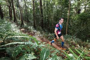 BIB: 
                            <button type="button" onclick="openModal(22562811)" class="btn btn-primary btn-sm float-right btn-popup" data-toggle="modal" data-target=".modal-high-quality">
                        <i class="fas fa-shopping-cart"></i> Add to Cart
                    </button>
                                            <button type="button" onclick="isThisMe(22562811, true)" class="btn btn-success btn-sm float-right btn-popup btn-isme hidden" data-toggle="tooltip" data-placement="bottom" title="นี่คือรูปของคุณใช่ไหม คลิกที่นี่เพื่อเอาเข้าอัลบั้ม">
                        <i class="fas fa-plus"></i> Add to album
                    </button>
                    <button type="button" onclick="isThisMe(22562811, false)" class="btn btn-warning btn-sm float-right btn-popup btn-isnotme hidden">
                        <i class="fas fa-ban"></i> Remove from album
                    </button>