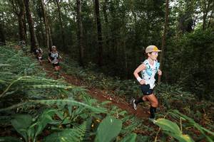 BIB: 
                            <button type="button" onclick="openModal(22533093)" class="btn btn-primary btn-sm float-right btn-popup" data-toggle="modal" data-target=".modal-high-quality">
                        <i class="fas fa-shopping-cart"></i> Add to Cart
                    </button>
                                            <button type="button" onclick="isThisMe(22533093, true)" class="btn btn-success btn-sm float-right btn-popup btn-isme hidden" data-toggle="tooltip" data-placement="bottom" title="นี่คือรูปของคุณใช่ไหม คลิกที่นี่เพื่อเอาเข้าอัลบั้ม">
                        <i class="fas fa-plus"></i> Add to album
                    </button>
                    <button type="button" onclick="isThisMe(22533093, false)" class="btn btn-warning btn-sm float-right btn-popup btn-isnotme hidden">
                        <i class="fas fa-ban"></i> Remove from album
                    </button>